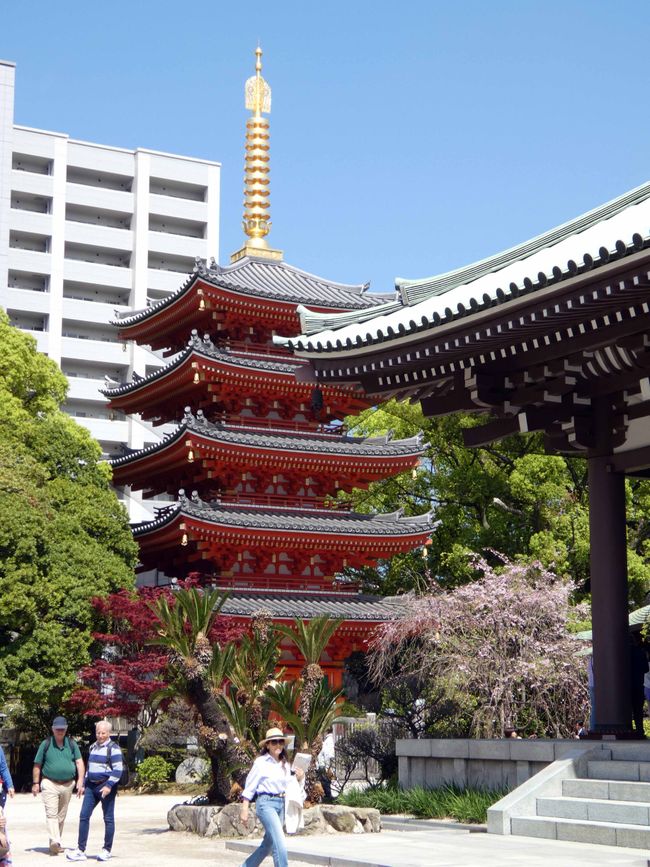 Fukuoka, 5 avril 2026