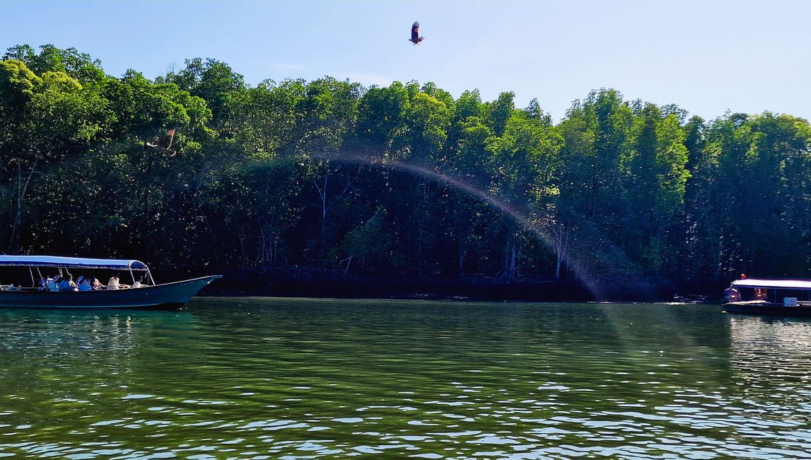 Kilim Forest Park