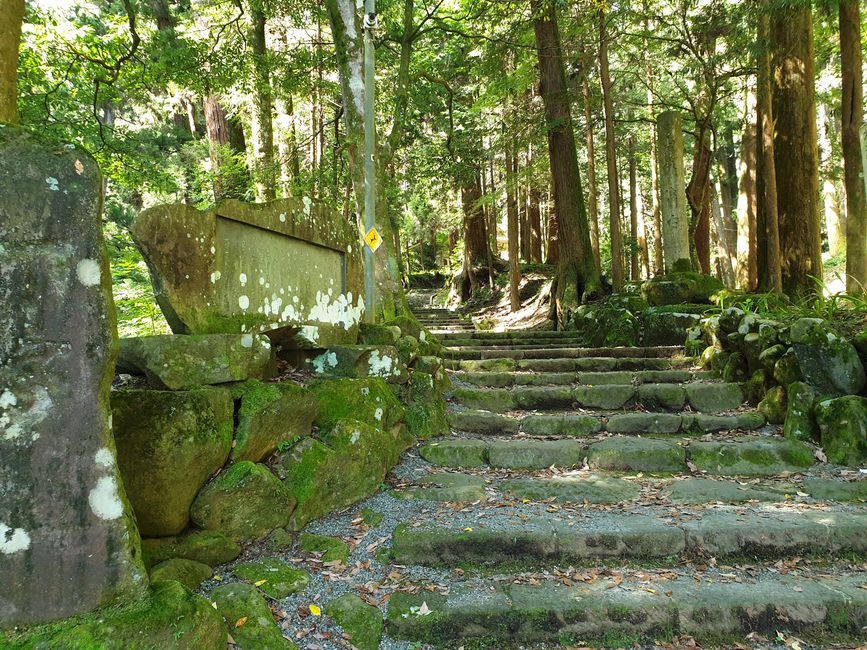 Der Weg zum Tempel