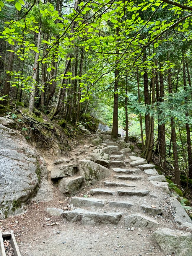 Sendero del Primer Pico