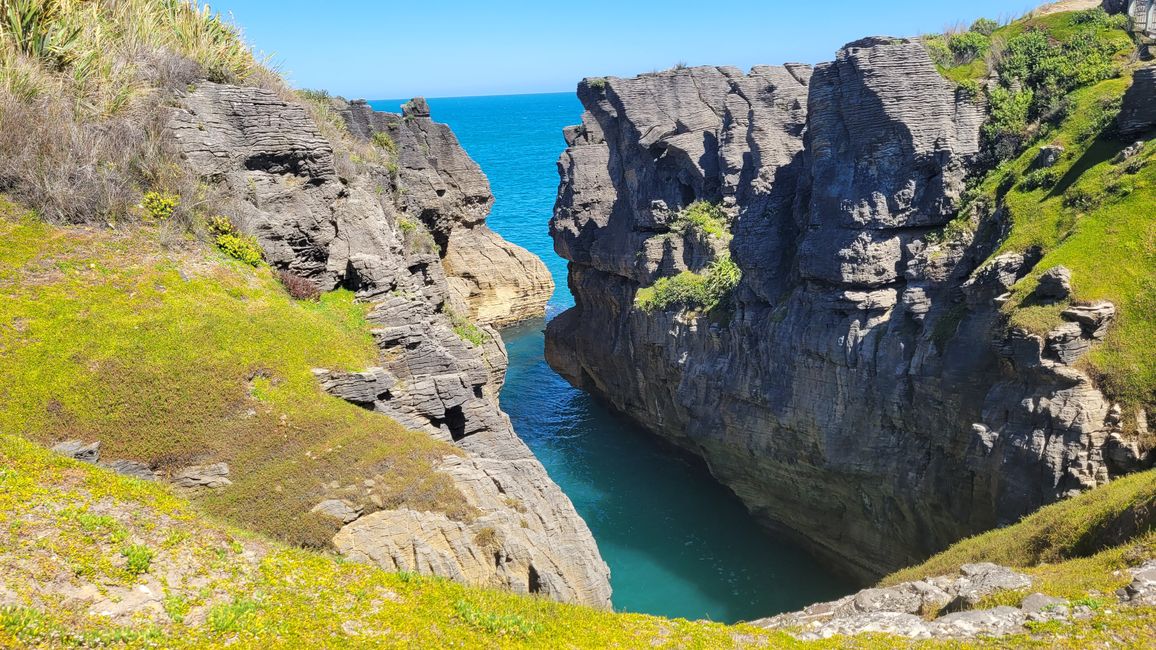 29.Januar-27.Februar 2025 Neuseeland
15.Januar