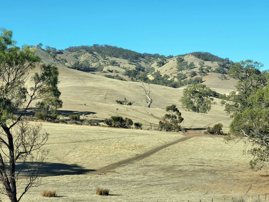 Tanunda, Barossa Valley