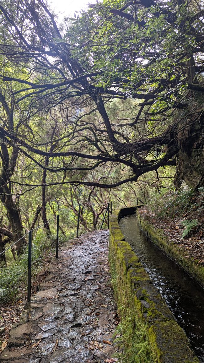 Tag 10: Levada das 25 Fontes und Risco & Feenwald