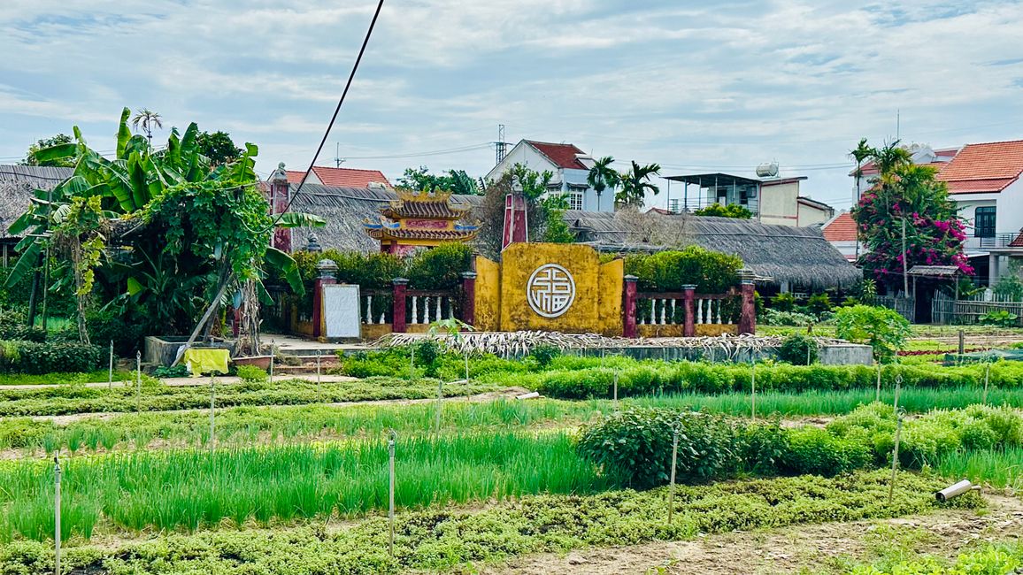 Llegada a Vietnam