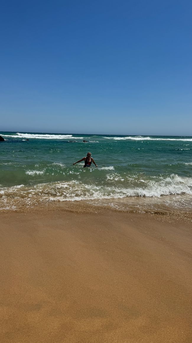 De la safari al mar