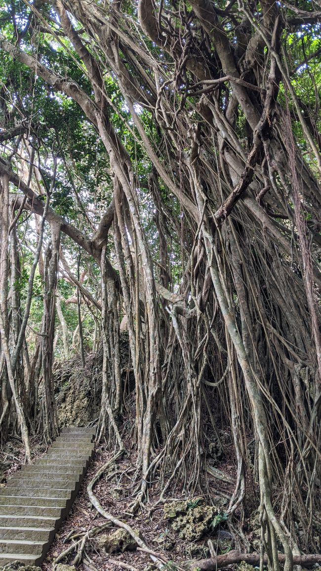 Parque Nacional Kenting