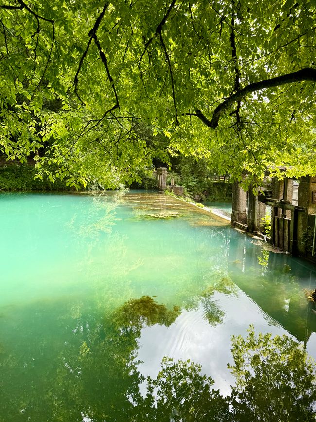 📍Blautopf, Blaubeuren