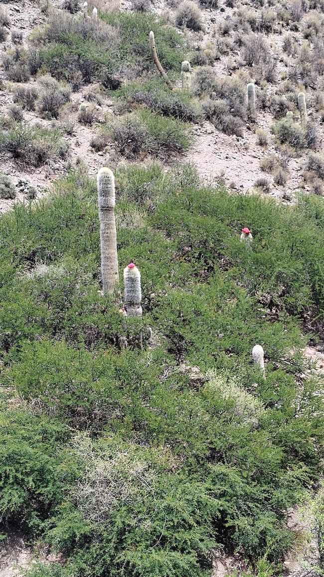 Bolivia, Potosi