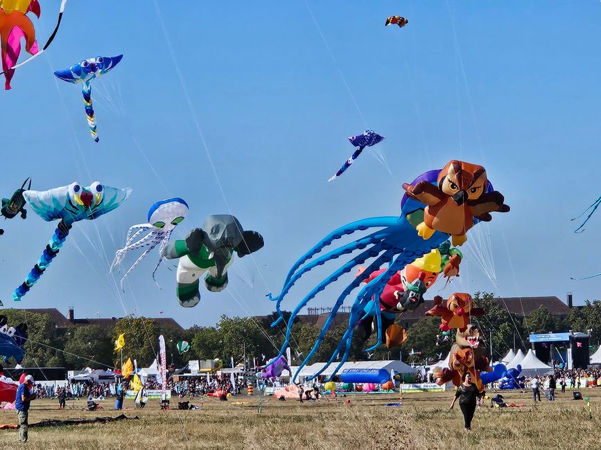 Festival der Riesendrachen