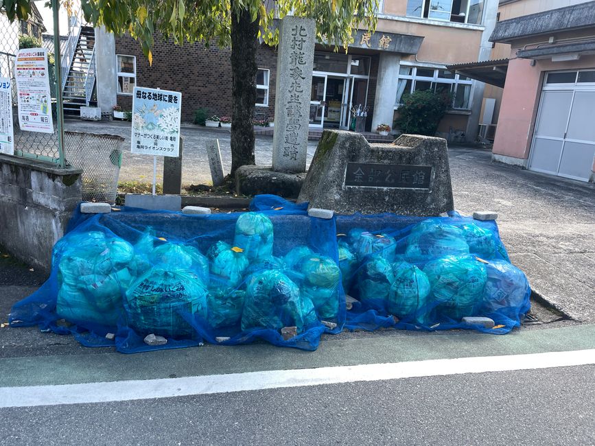 Jetzt weiß ich, wozu die Plastiknetze sind!