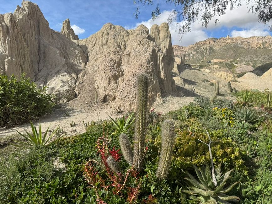 Valle de la Luna