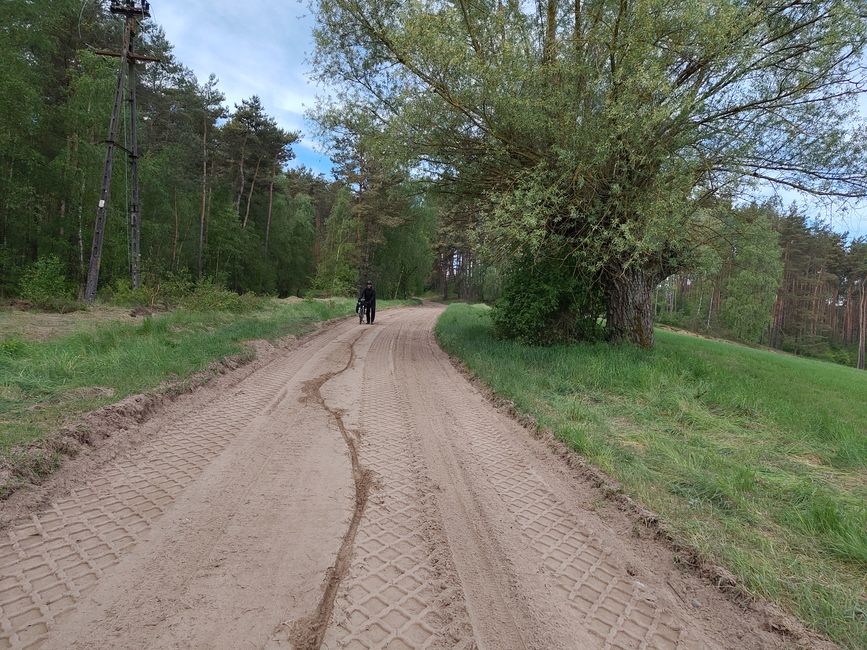 Spuren im Sand