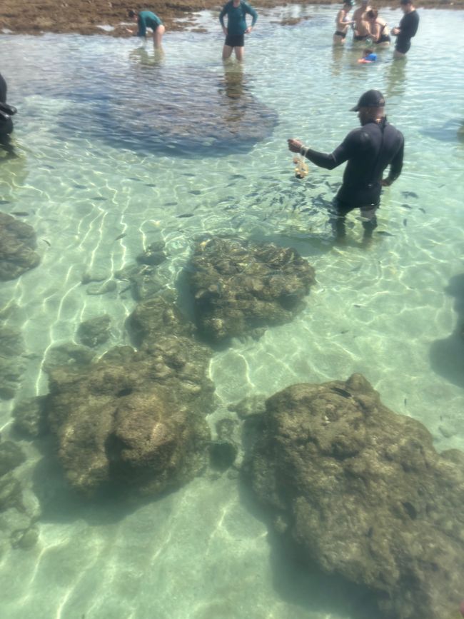 Da ist der Geburtstag 