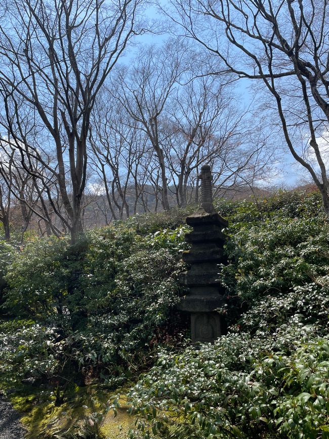 Kyoto-Domingo-06.04.25