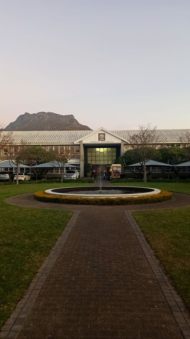 Südafrika Tag 2 - Ein erfolgreicher Tag in Stellenbosch