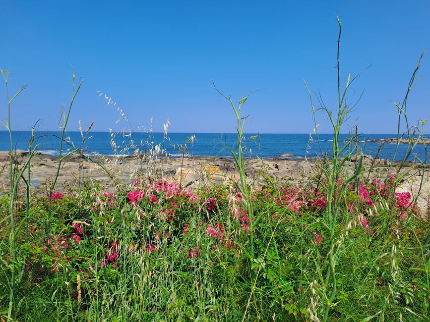 4. Etapa: Vila do Castello -