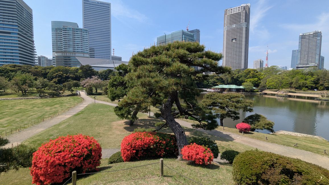Traumhafter (anstrengender) 2. Tag in Tokyo