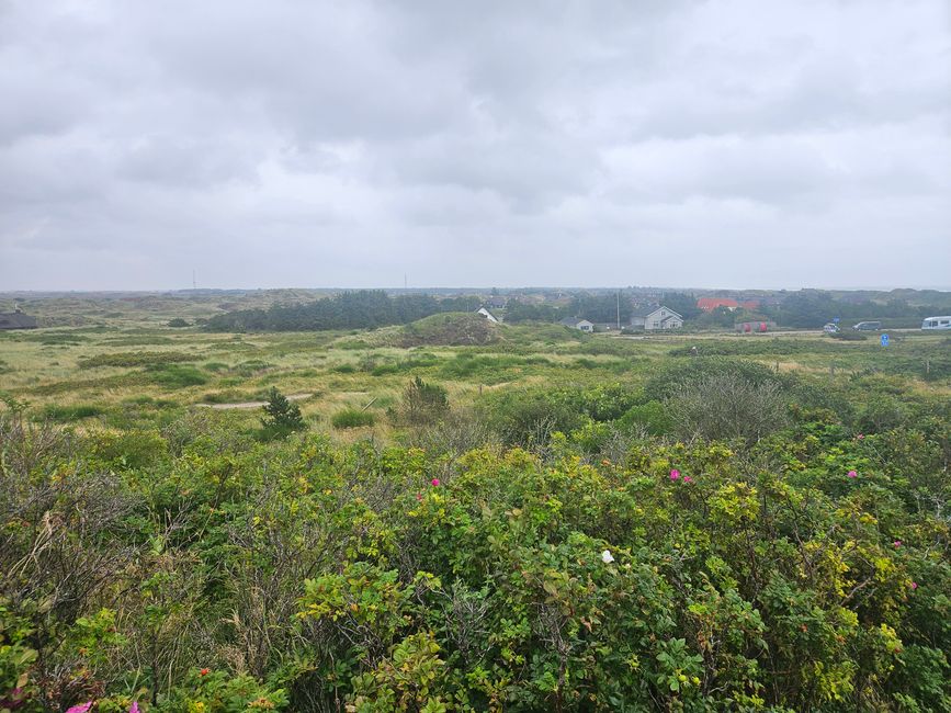 Blåvand ● Vista desde delante del faro 