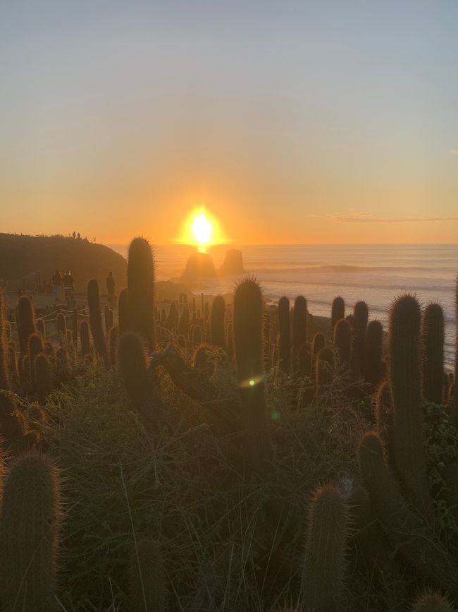 Punta de Lobos