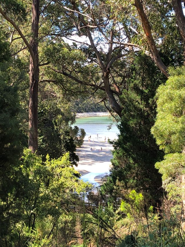 ... und der Blick zum Strand
