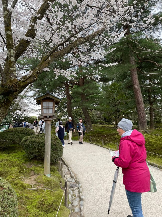 Kenrokuen Garten