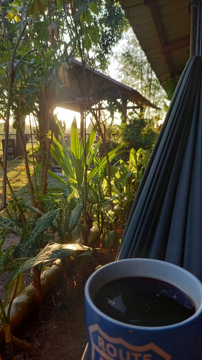 Solo morning coffee