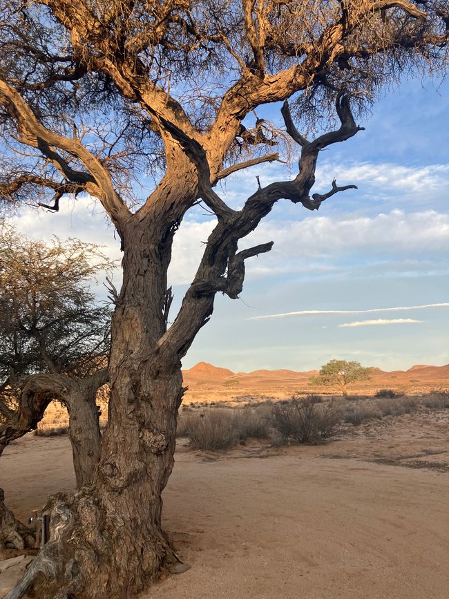 Namibia - il sud secco