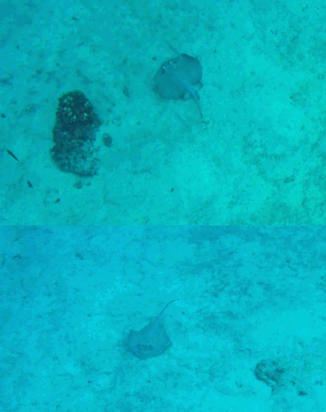 Neiafu, Vavaʻu, Tonga