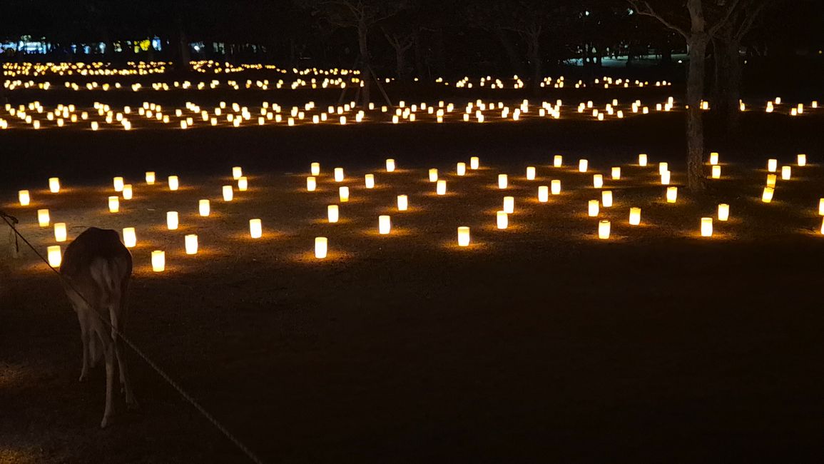 Nara Tokae Stadtfest
