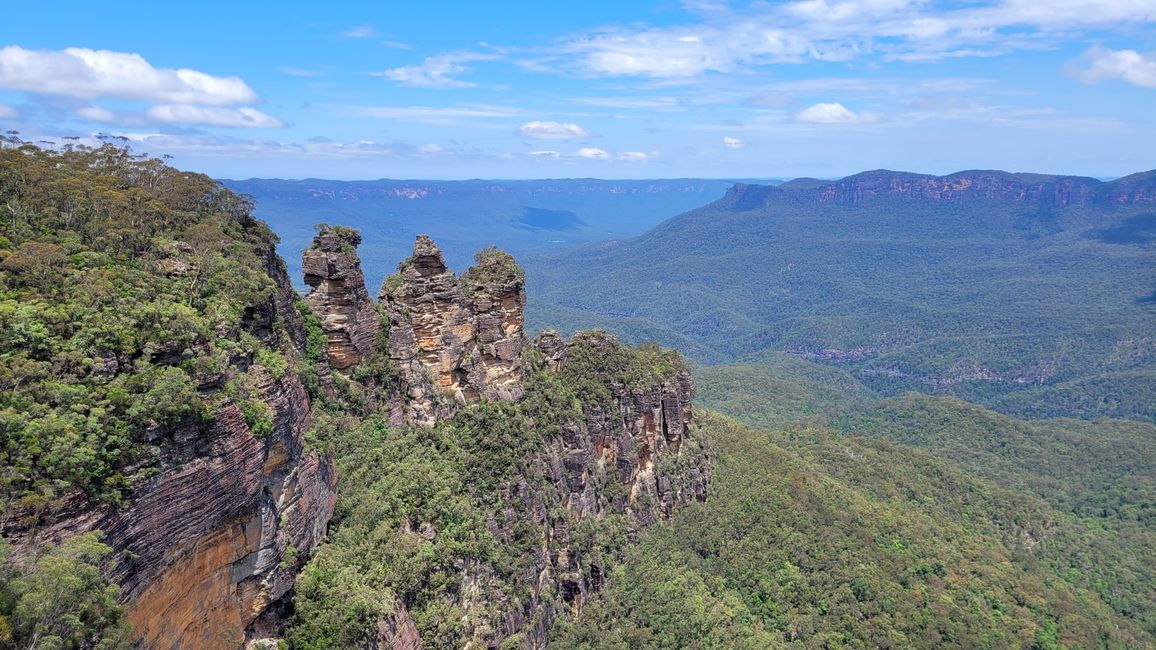 Blue Mountains – Eukalyptusbäume locken nicht nur Koalas an