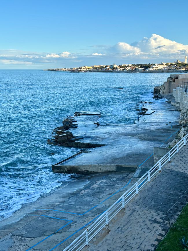 Bisceglie ☀️☀️⛅️