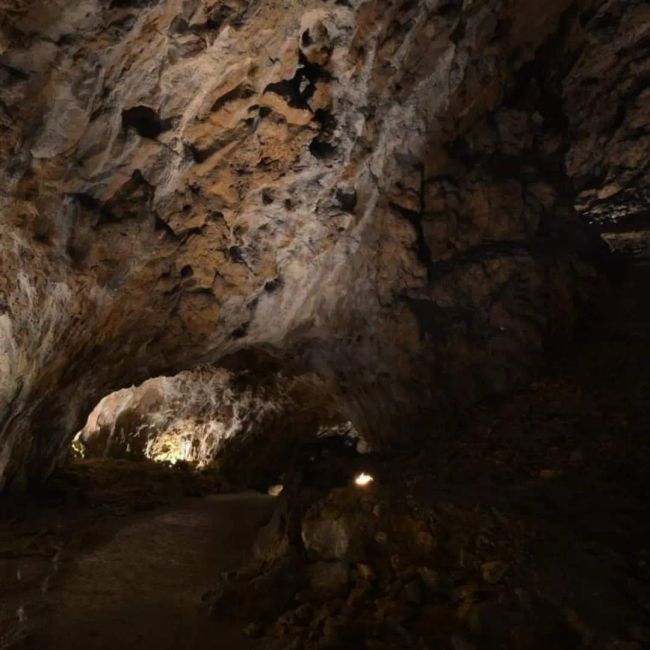 Prehistoric yet so close: The Hohle Fels as a window into the past