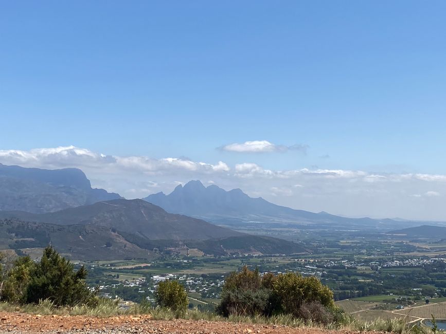 Franschhoek, Lavender Farm