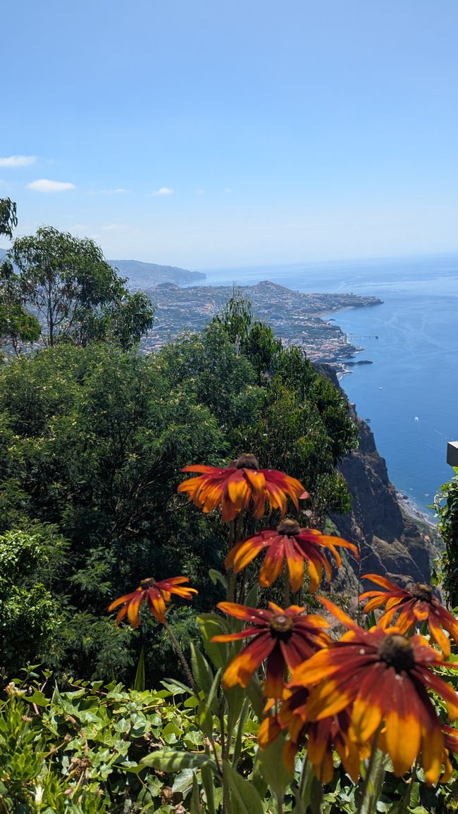 Day 15: The South Coast with Waterfall, Skywalk & Cristo Rei