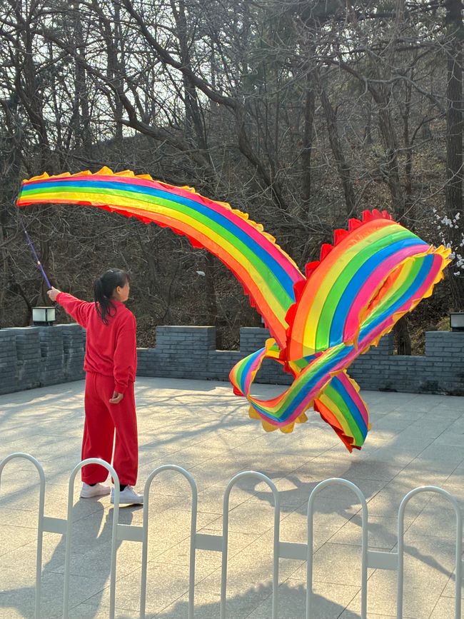 Dame arc-en-ciel