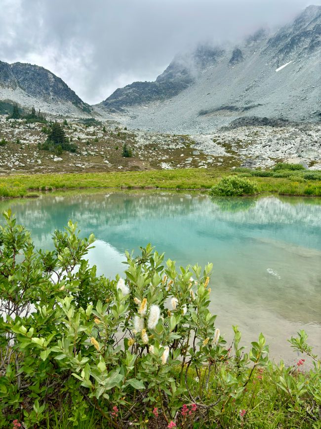 Decker Tarn