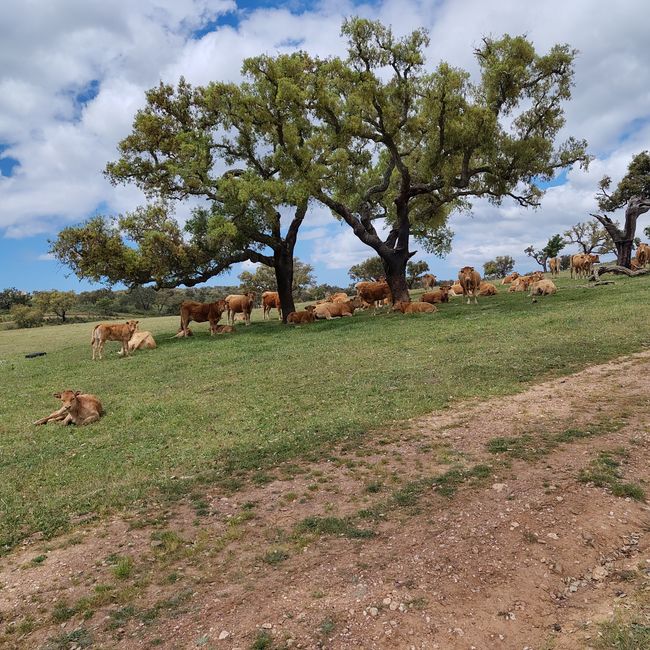 Cercal de Alentejo -> Vale Seco