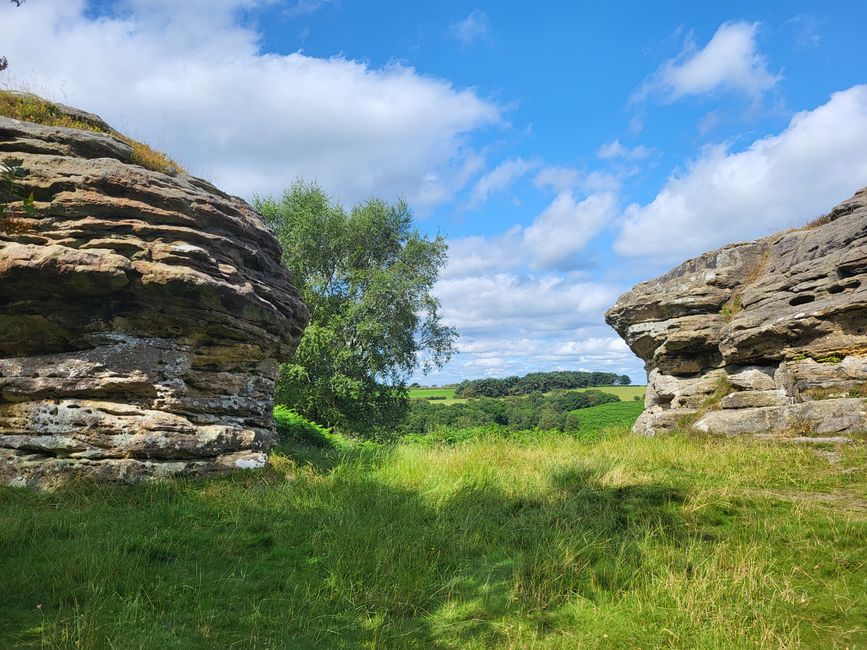 Dalby Forest