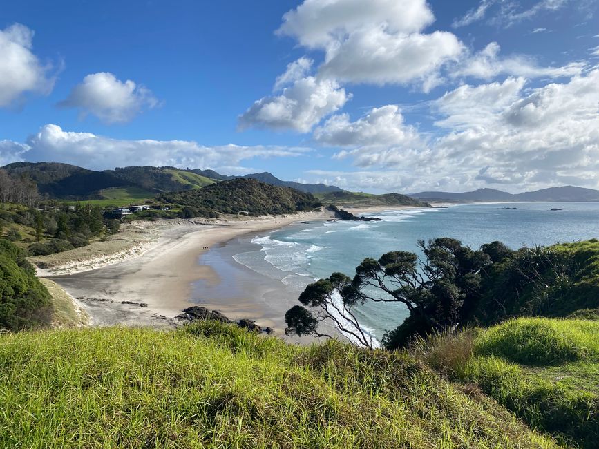 De whangarei à auckland