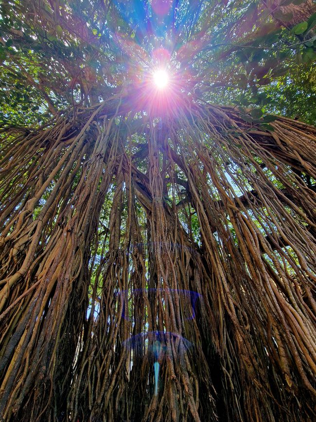 欢迎来到天堂 - 希望能再次见到您!