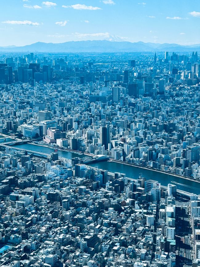 Tag 1 - Tokyo