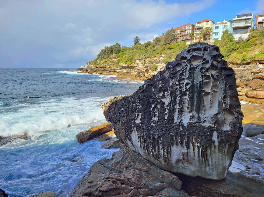 Syndney, Bondi und andere Beaches, 4. Tag