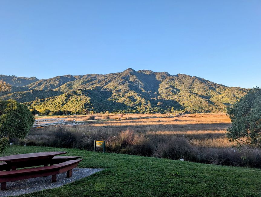 Auf ein paar Worte in Abel 
Tasman