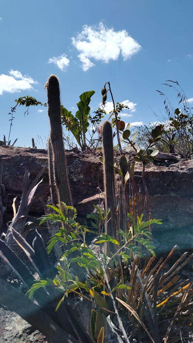 Brazil National Park Diamonds Part I