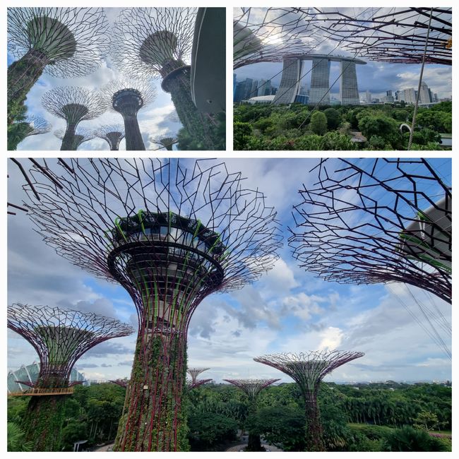 Gardens by the Bay
