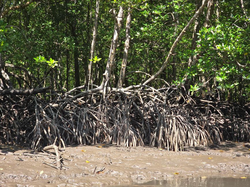 Langkawi - Reif für die Insel!