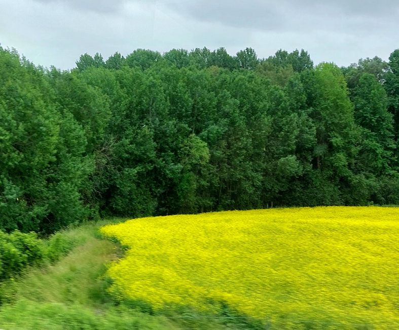 South Sweden Tour - Day 18