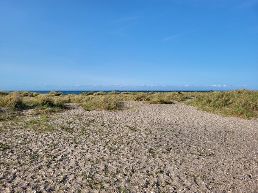 Naturschutzgebiet "Grüner Brink"