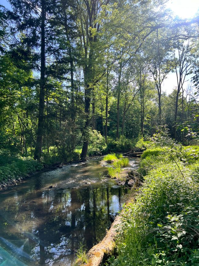 40 to Grünwald