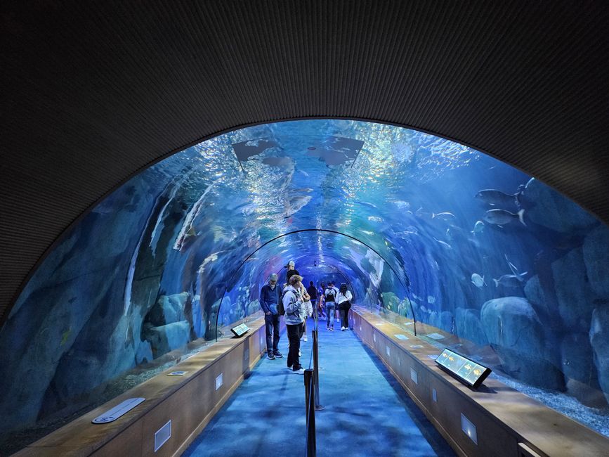 Oceanogràfic Valencia